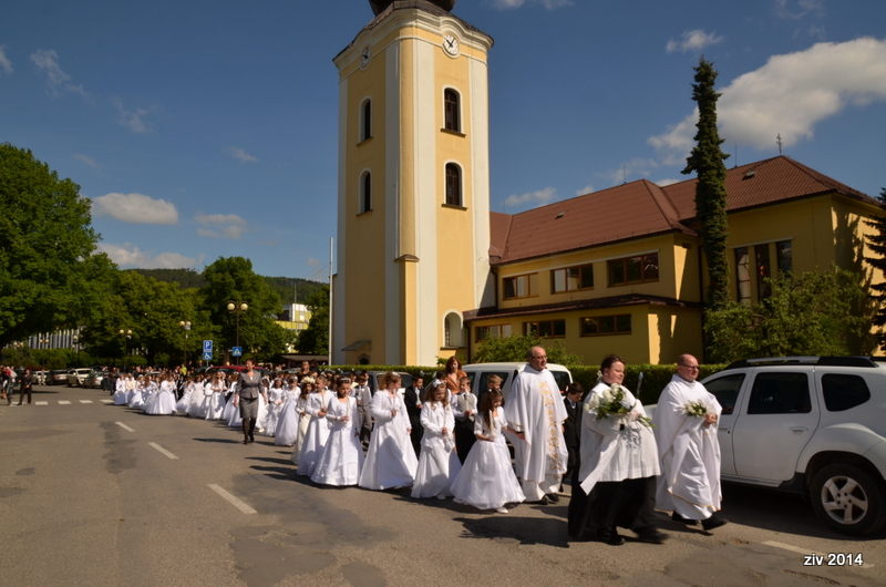 Prvé sväté prijímanie